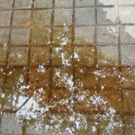 Water and dampness across tiled flooring, a possible warning sign to investigate